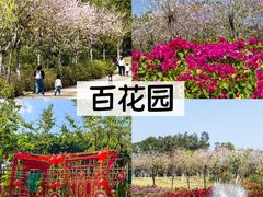 -广州莲花山旅游区