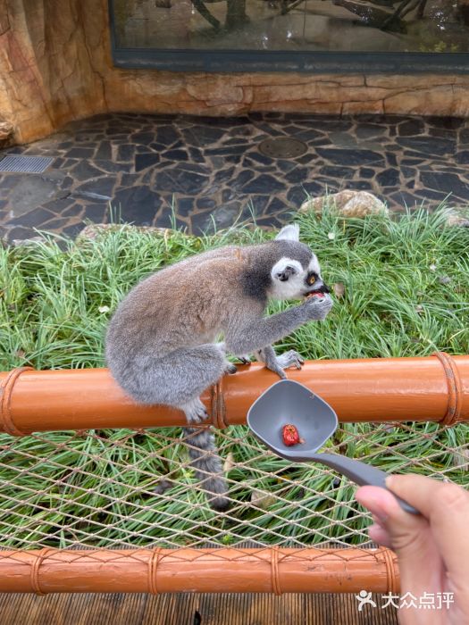 北京野生动物园图片