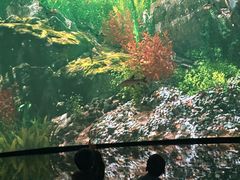 -中国湿地博物馆