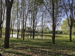 -东郊湿地公园