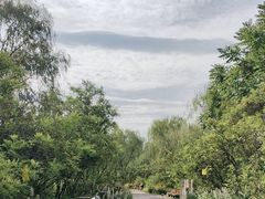 -翠湖国家城市湿地公园