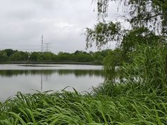 -九里河湿地公园