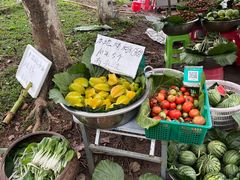 -凤岗南门山森林公园