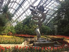 -南山植物园