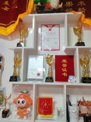 -丽减美瘦吧·瘦身塑形