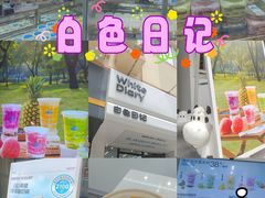 -白色日记·手作酸奶(麦凯乐店)