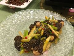 黑鸡枞罗汉上素-鱼桥巷·美学川菜