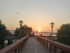 -宝安西湾红树林湿地公园