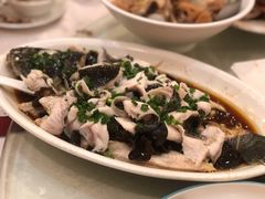 香葱生鱼片-荔枝楼酒家(员村东璟店)