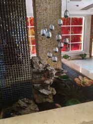 -天姿美容·美体科技SPA·艾姿美店