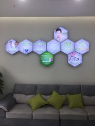 -莱可美科技美肤