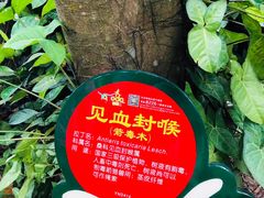 -呀诺达热带雨林