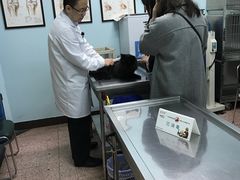 -北京博爱动物医院有限公司