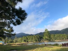 -海南热带雨林国家公园吊罗山景区
