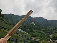 -深圳仙湖植物园