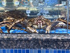 -万达广场(赣州于都店)