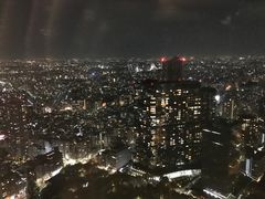 -东京都厅舍