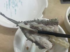 -源港渔村-中山脆肉鲩(博罗店)