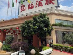 -龙的酒楼·手工早茶·顺德菜(近良路店)
