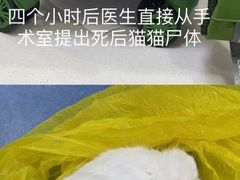 -博特宠物医院24h犬猫全科.骨科·异宠