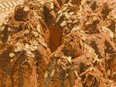 -B&C黄油与面包·THE GARDEN BAKERY概念店(世纪汇店)