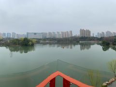 -青枫公园