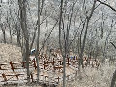 -大岭沟猕猴桃谷风景区