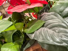 -披云徽府(繁华大道店)