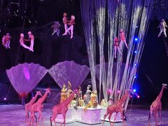 -广州长隆国际大马戏