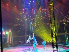 -鄂尔多斯野生动物园