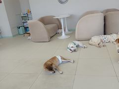 -怪兽屋·羊驼·猫咖·狗咖(俊华广场店)