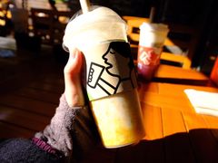 -喜茶(迪士尼小镇DP店)