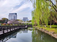 -桐乡植物园
