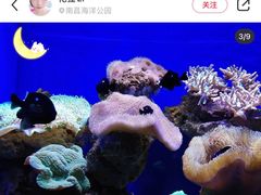 -南昌海洋公园