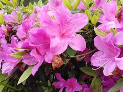 -韶山毛泽东同志故居