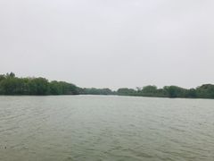 -长兴太湖图影湿地文化园