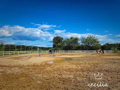 -月河湾马术俱乐部(朝阳店)