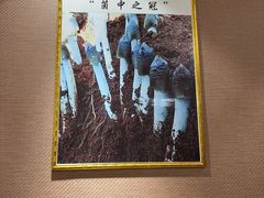 -菌之家·专业纯野生菌火锅·特色炒菌