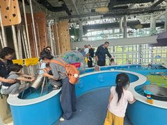 -呼和浩特市老牛儿童探索馆