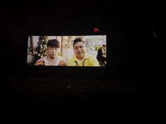 -枫花园汽车电影院(朝阳公园店)