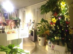 水玉星合养生天地-克丽缇娜