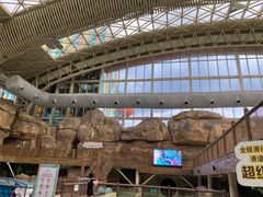 -杭州开元森泊度假乐园