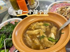 -大中鱼翅 Taitong Shark Fin
