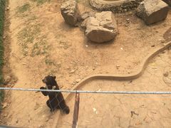 -无锡动物园·太湖欢乐园