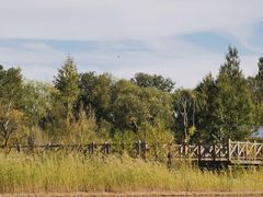 -野鸭湖国家湿地公园