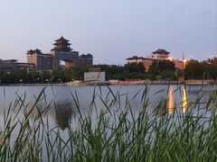 -莲花池公园
