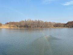 -溱湖国家湿地公园