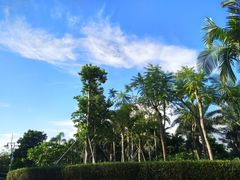 -宝安西湾红树林湿地公园