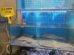 -前王院•巧克力海鲜市集餐厅(万平口店)