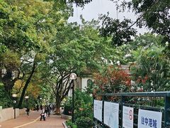 -九龙公园